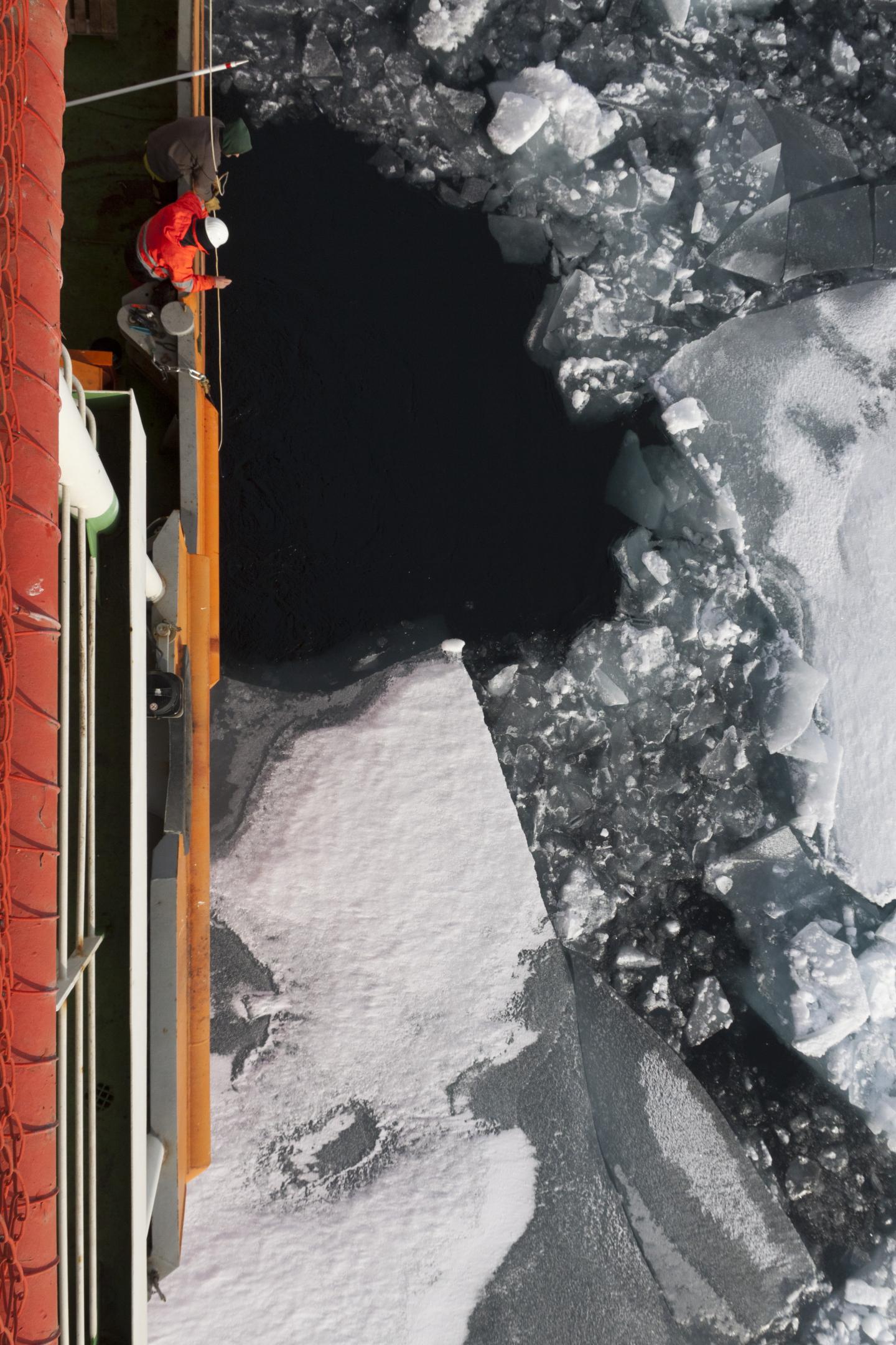 Arctic Sea Ice