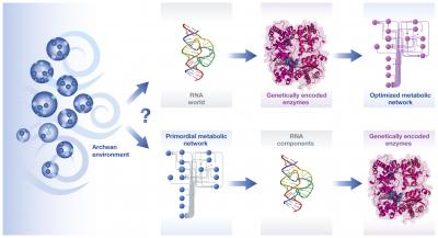 When Did Metabolism First Originate?