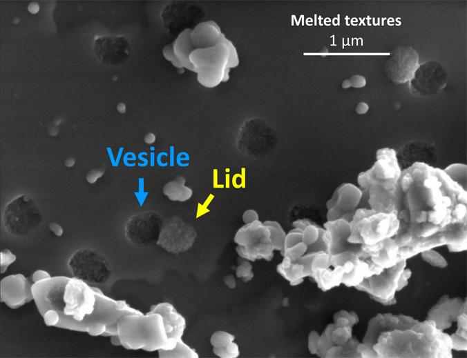 A Scanning Electron Microscopy Image of the Surface of an Olivine Grain