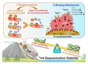 Effect of low-crystallinity Fe (Oxyhydr)oxides on dissolved organic matter-mediated Cr(VI) reductive immobilization and concurrent carbon sequestration