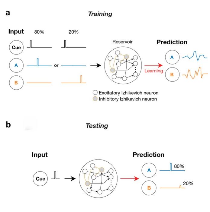 A Spiking Network Learns What and When to Expect