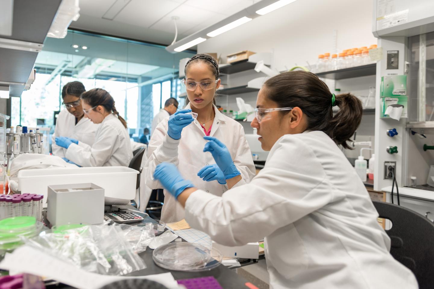 Cell Manufacturing Laboratory