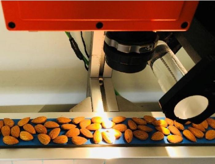 New techniques to keep food safe