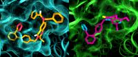 Angiotensin II Receptors