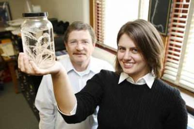 Oldest Complex Organic Molecules Found in Ancient Fossils