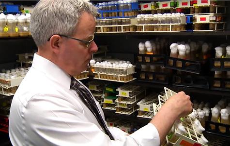 Shaw in Fly Nursery