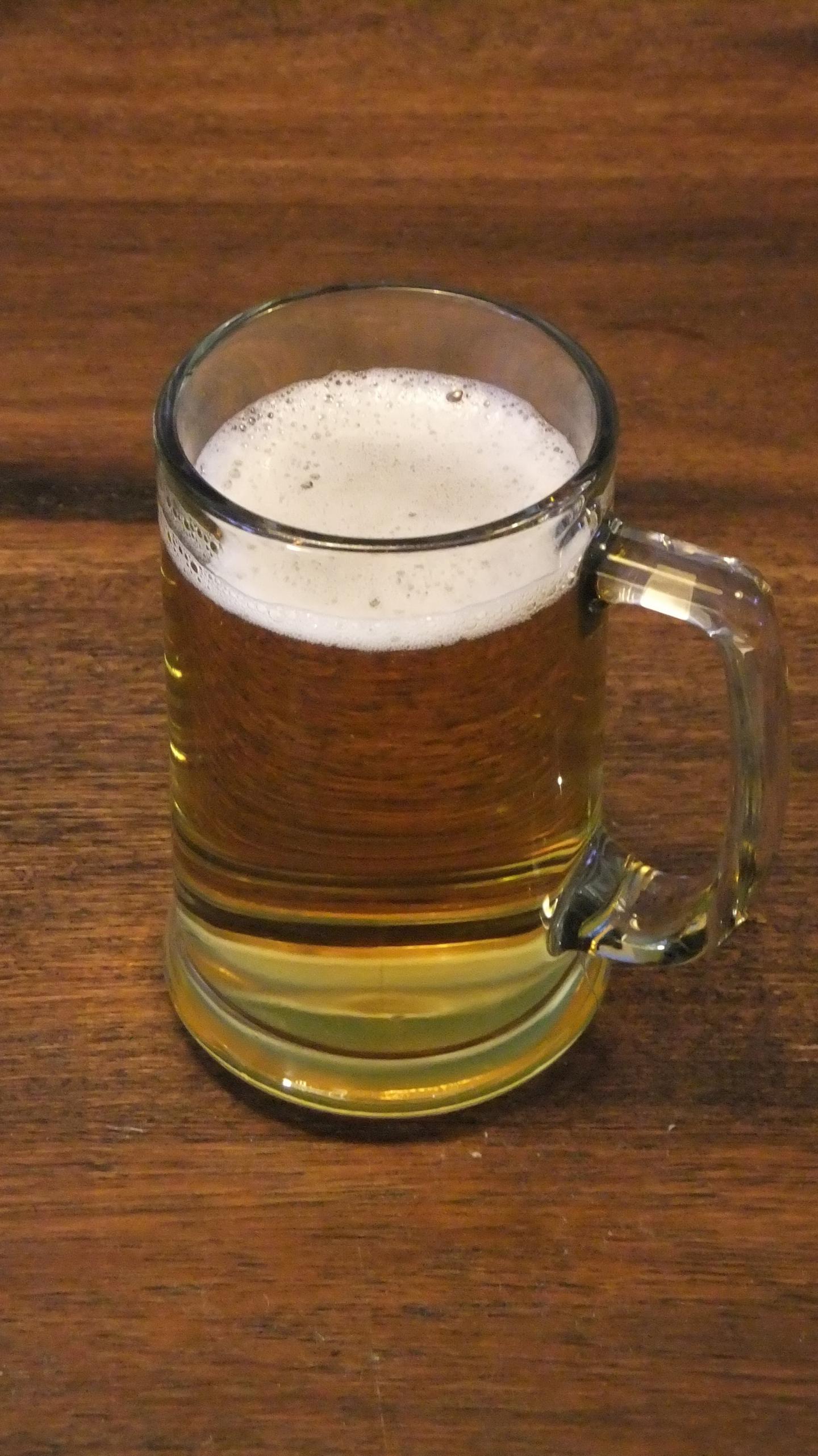 The Evolution of Beer