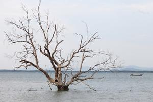 The Growing Impact of Sea-Level Rise