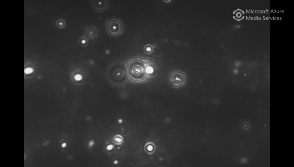 Near-saturation levels of protein in solution