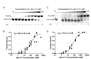 Binding affinity analysis