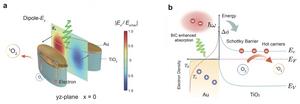 Figure 2 | Schematic illustration of the mechanism by which quasi-BIC–enhanced absorption drives hot-carrier processes at the Au–TiO₂ interface to generate singlet oxygen.
