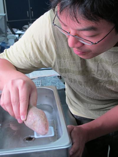 Dr. Mingqi Li, Chinese Academy of Sciences