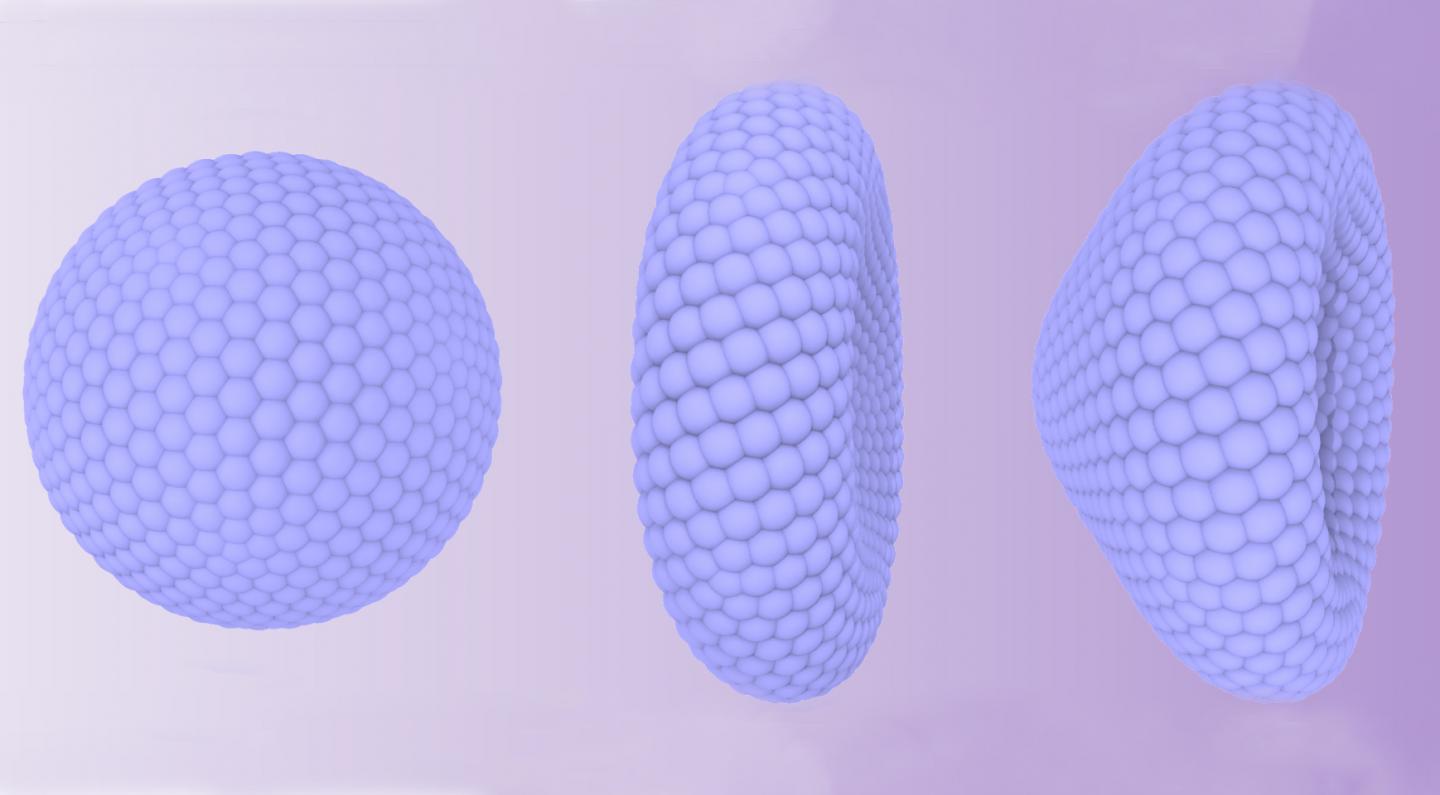 Shape-Changing Nanoparticles