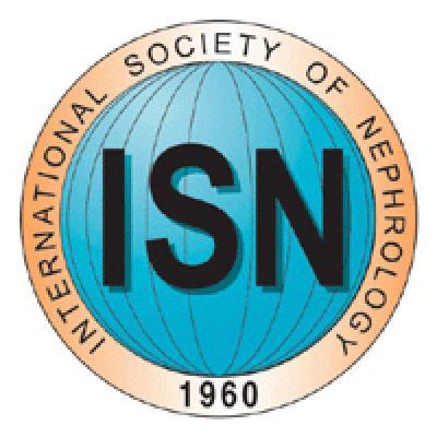 ISN Logo