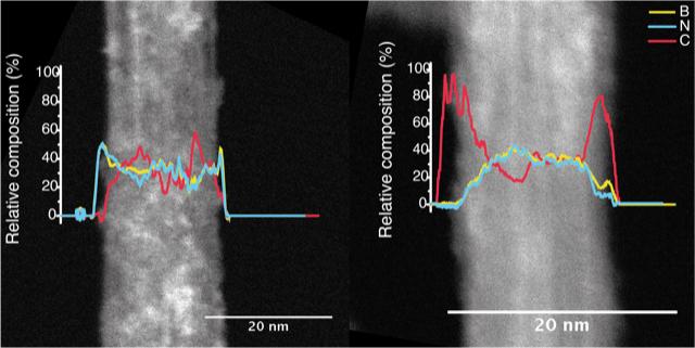Nanotubes under Electron Microscope