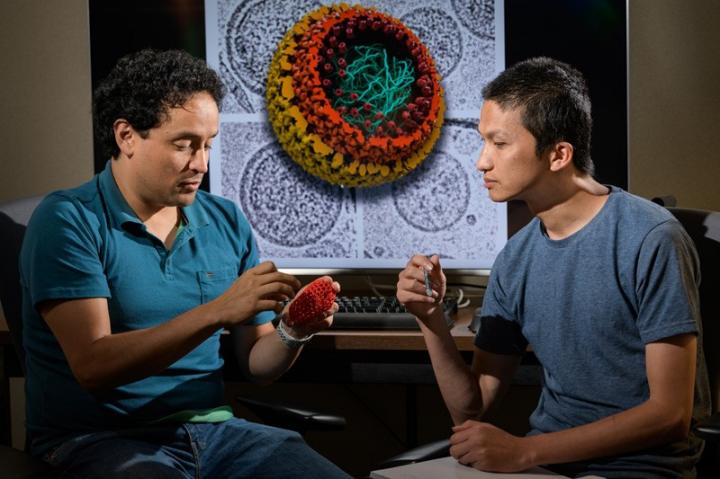 Examining the Structure of the HIV Virus