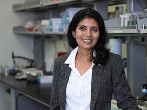Dr. Jyothi Nagajyothi