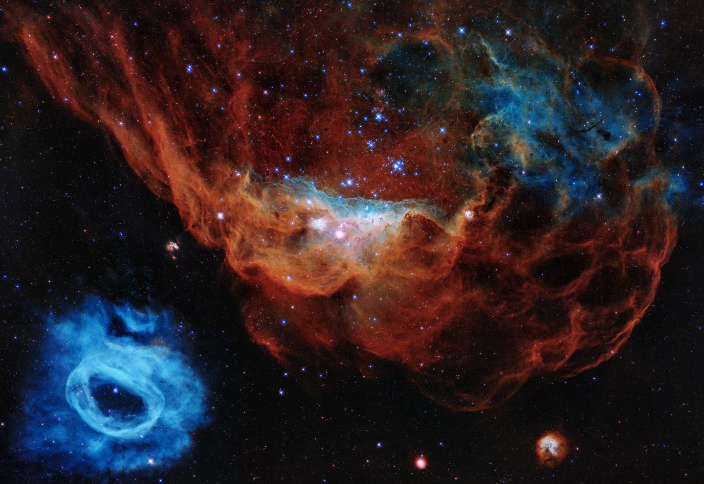 Hubble 30th Anniversary Image of 'Cosmic Reef' (NGC 2014 and NGC 2020)