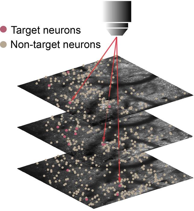 Holographic optogenetics