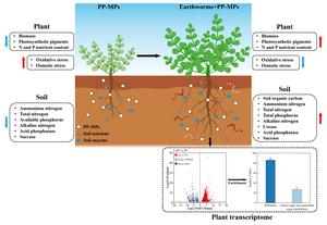 PARTIAL MECHANISMS BY WHICH EARTHWORMS ALLEVIATE THE EFFECTS OF POLYPROPYLENE MICROPLASTICS ON THE GROWTH OF ASTRAGALUS SINICUS L.