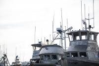 Alaska Fishing