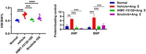 New Drug Candidate Shows Promise Against Cardiac Hypertrophy