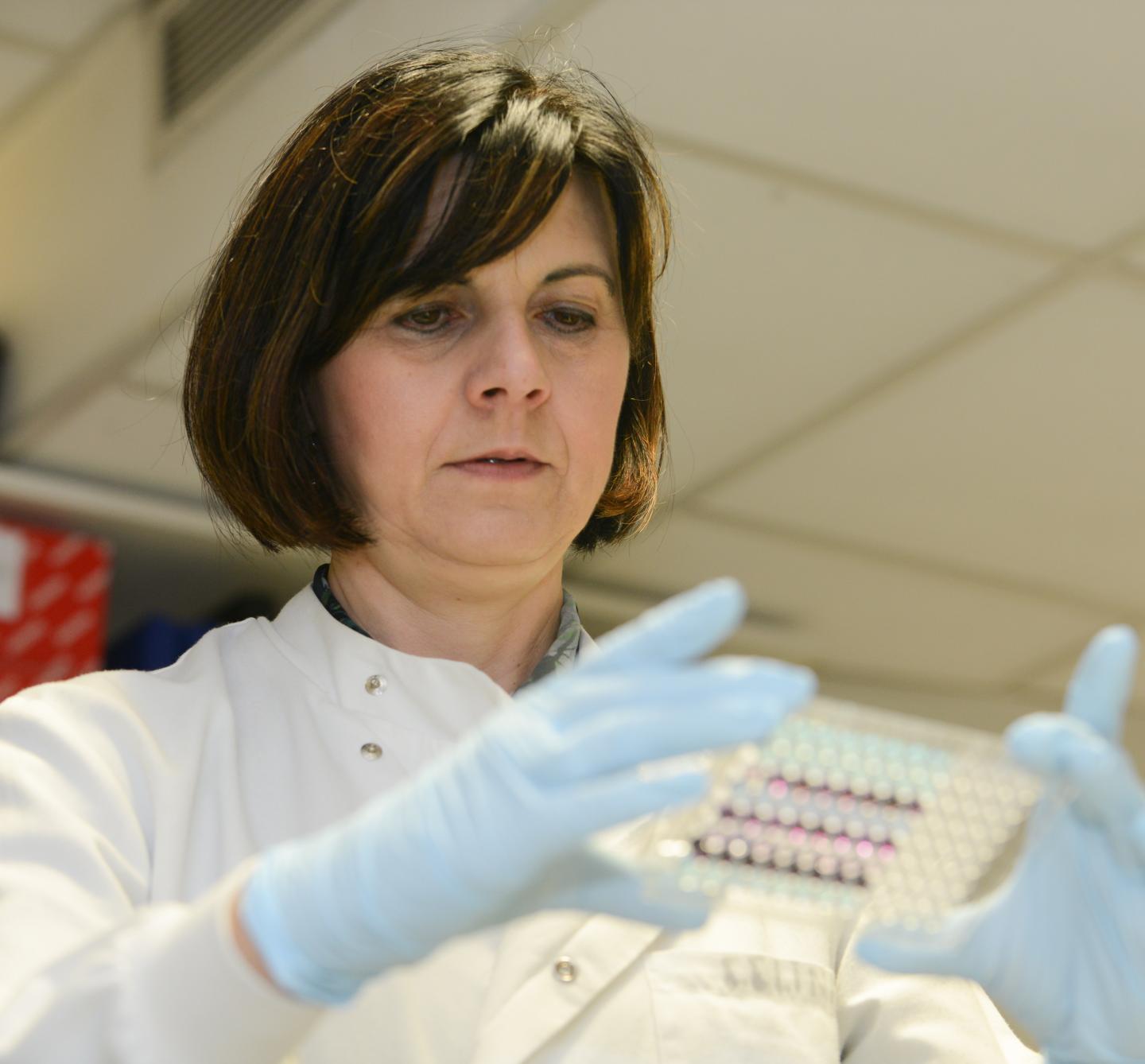 Tatjana Crnogorac-Jurcevic, Pancreatic Cancer Research Fund