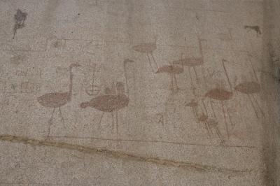 Wading Birds