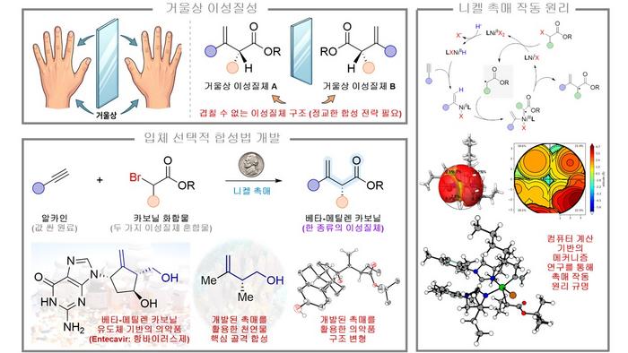 Development of stereoselective synthesis method through nickel catalyst design and investigation of mechanism through computer calculation