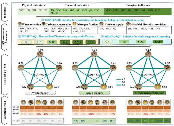 Synergistic effects of green manure and biochar for a win-win in nitrogen reduction and soil health: insights from multiple assessment frameworks