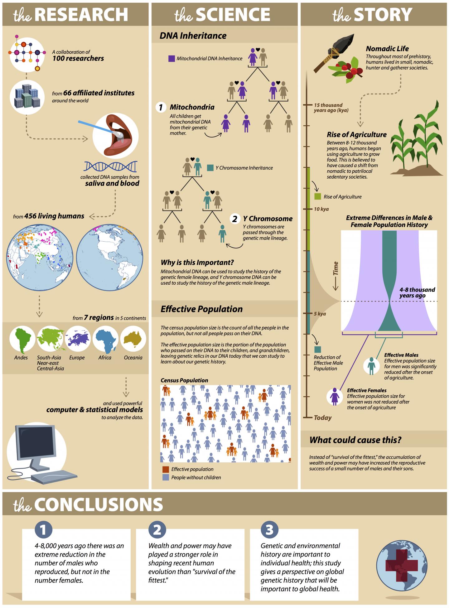 Research Infographic