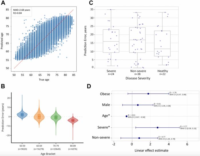 AI-driven toolset for IPF and aging research associates lung fibrosis with accelerated aging