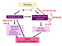 Smoking and Aging