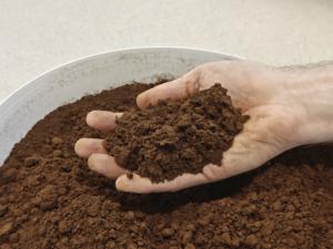 Lignin in powder form