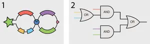 figure3.png