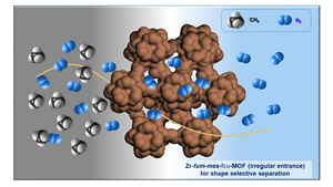 Shaping the future of purification