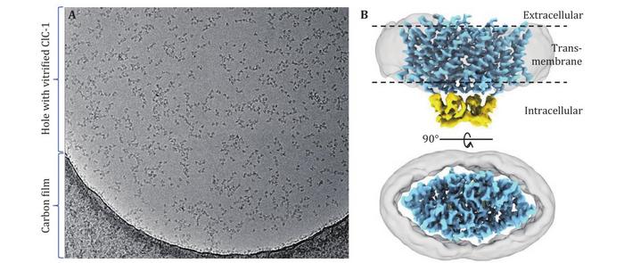 Application to real-world AWI adsorption problem