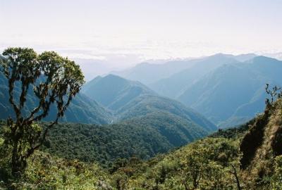 Peruvian Andes