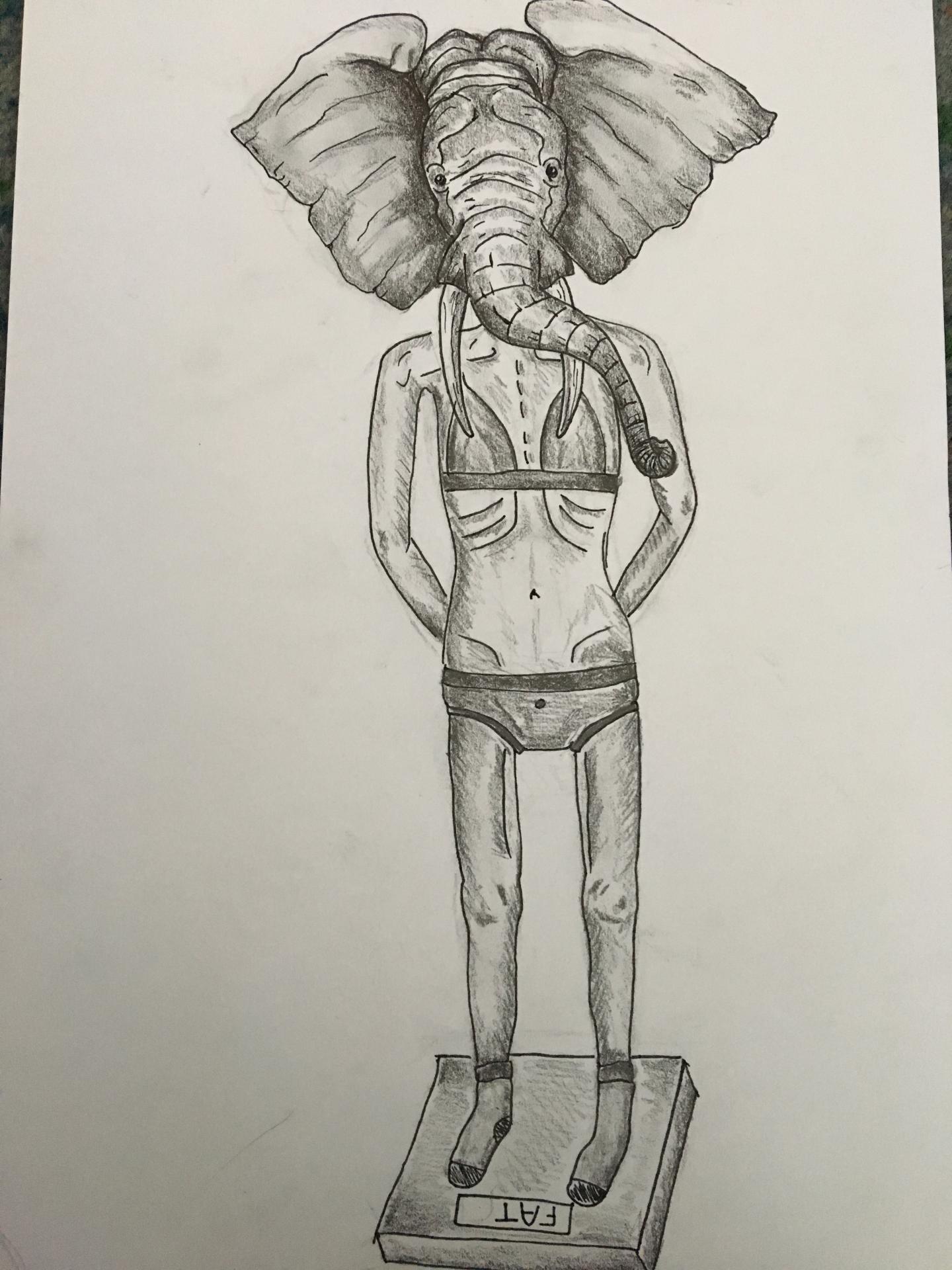 AN Sketch