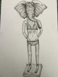 AN Sketch
