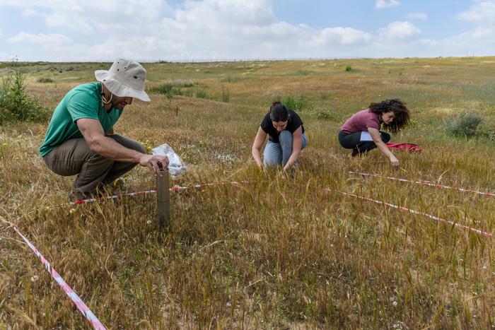 Scientists at the Negev Desert, LTER-Israel