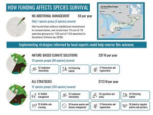 Graphical abstract: Funding and species survival