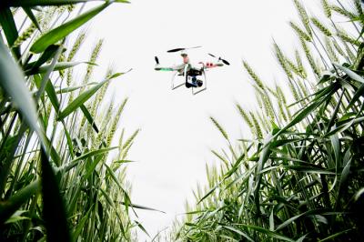 Drone on the Farm