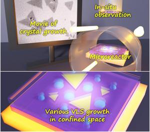 Real-time growth of monolayer TMDC crystals in a microreactor
