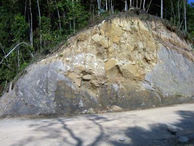 Tropical Forest Diversity Increased during Ancient Global Warming Event (3 of 3)