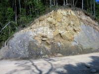 Tropical Forest Diversity Increased during Ancient Global Warming Event (3 of 3)