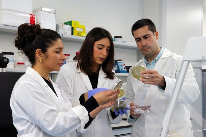 Image of the team that carried out the research