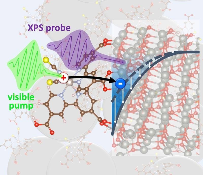 Decoding the Lifecycle of Photogenerated Charges