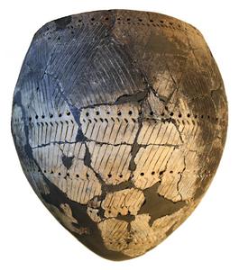 Selective culinary uses of plant foods by Northern and Eastern European hunter-gatherer-fishers