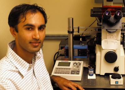 Looking at Cell Interaction